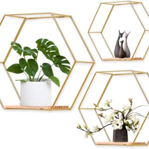 Hexagonal Floating Shelves Set