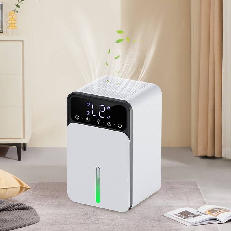 Mini Portable Air Purifier
